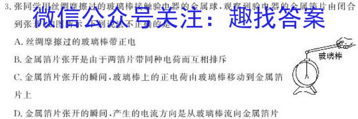 安徽省2023年下学期九年级学业水平测试模拟卷（三）物理`