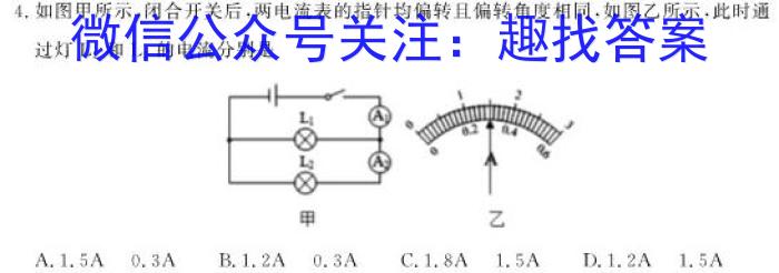 海南省2023届高三四校联考物理.