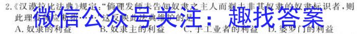 2023年安徽省示范高中皖北协作区第25届高三联考(23-300C)历史