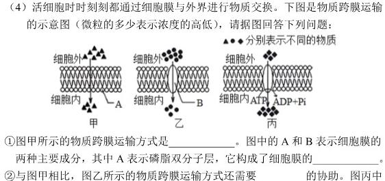 ［周口二模］2023届周口市高三年级第二次模拟考试生物