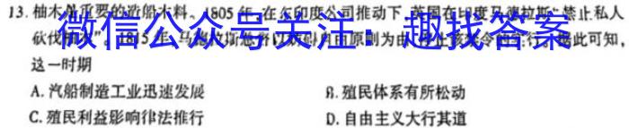 陕西省九年级联盟卷(23-CZ118c)历史