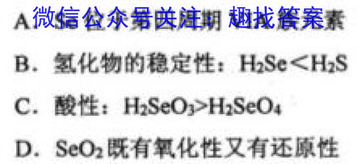 安徽省2024届八年级下学期教学质量检测（六）化学