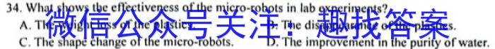 桂柳文化2023届高三桂柳鸿图信息冲刺金卷6英语