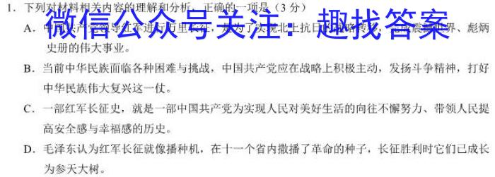 江西省九江市2023年初中学业水平考试复习试卷（三）语文