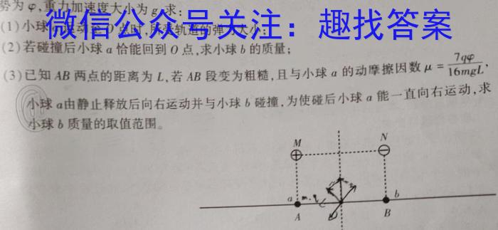 2023届金学导航·模拟卷(八)·D区专用f物理