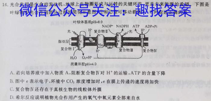 安师联盟2023年中考权威预测模拟考试（九）生物