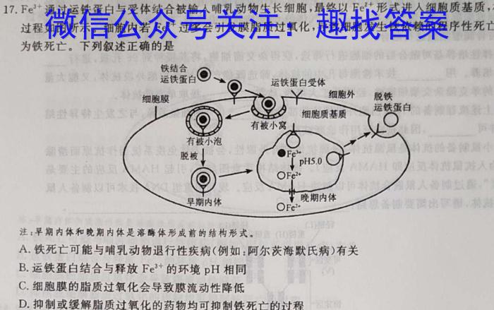 2023届陕西省高三4月联考(标识○)生物试卷答案