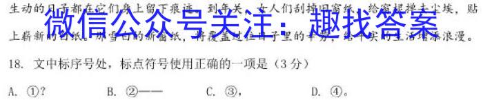 2022-23年度信息压轴卷(新)(三)语文