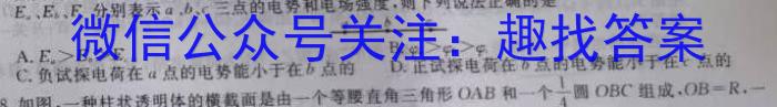 中考必刷卷·2023年安徽中考第一轮复*卷（九）物理.