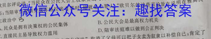 2022-023学年安徽省九年级下学期阶段性质量检测（六）历史