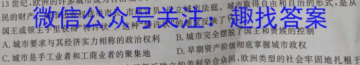 2023年陕西省初中学业水平考试·全真模拟（四）A卷历史试卷