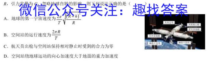 佩佩教育·2023年普通高校统一招生考试 湖南四大名校名师团队模拟冲刺卷(4).物理