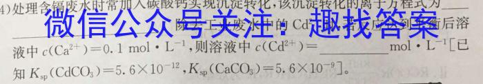 天利38套河北省2023年初中毕业生升学文化课考试押题卷(六)化学