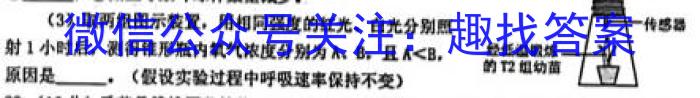 2023年普通高等学校招生全国统一考试信息模拟测试卷(新高考)(一)生物