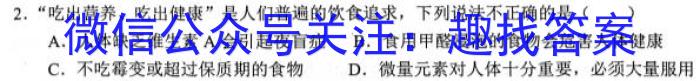 江淮名卷·2023年安徽中考模拟信息卷(六)化学