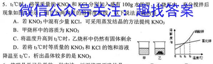 2023年商洛市第二次高考模拟检测试卷(23-390C)化学