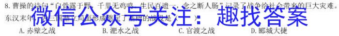 青桐鸣高考冲刺 2023年普通高等学校招生全国统一考试冲刺卷(一)&政治