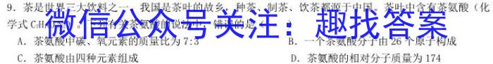 2023年陕西省初中学业水平考试全真模拟（四）A卷化学