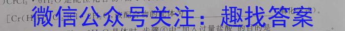 2023年山西中考千校模拟试题（二）化学