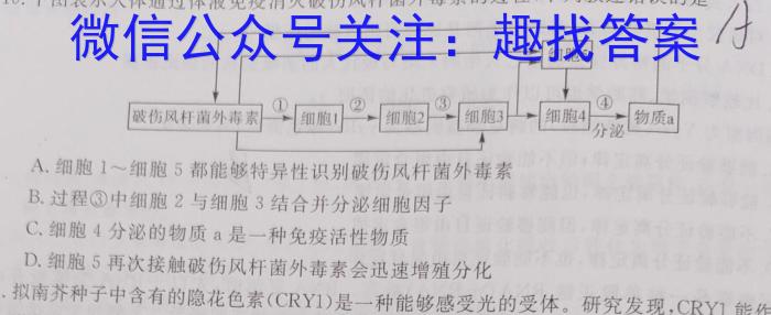 2023年普通高等学校全国统一模拟招生考试 高三新未来4月联考生物