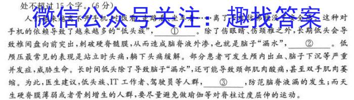 2023年河南省初中学业水平暨高级中等学校招生模拟考试（四）语文