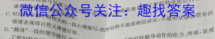 2023年4月湖湘教育三新探索协作体高一期中联考语文
