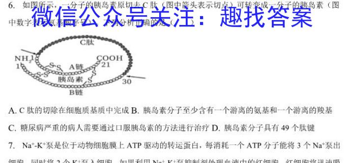 天一大联考2022-2023学年高三阶段性测试（六）生物试卷答案