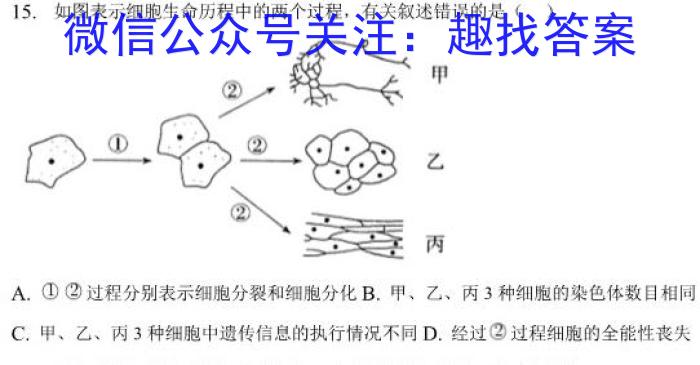 衡中文化2023年衡水新坐标·信息卷(六)生物