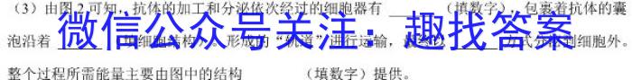 湖北省鄂东南省级示范教学改革联盟学校2024-2023学年高二下学期期中联考生物