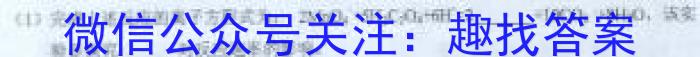 2022-2023学年安徽省七年级下学期阶段性质量检测（七）化学