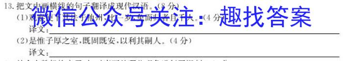 （益卷）2023年陕西省初中学业水平考试A版语文