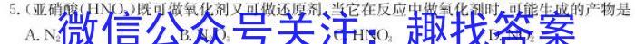 衡中文化2023年衡水新坐标·信息卷(四)化学