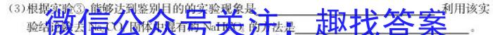 天一大联考2024-2023学年度高一年级下学期期中考试化学