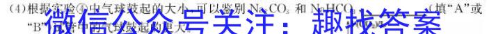 江西省2023年学科核心素养·总复习(六)化学