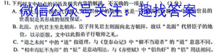 2023年普通高等学校招生统一考试 新S3·临门押题卷(二)语文