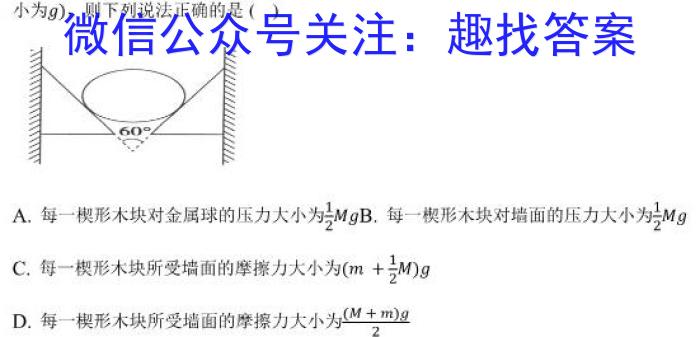 2022-2023学年河南省高二期中考试(23-389B).物理