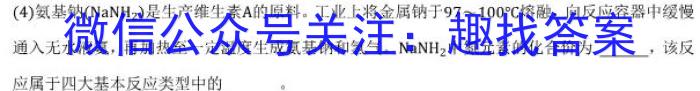 江西省2024-2023学年度七年级下学期期中综合评估（6LR）化学