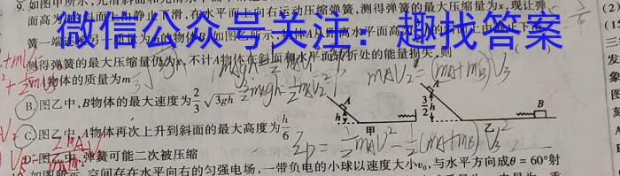 海淀八模2023届高三模拟测试卷(八)物理.