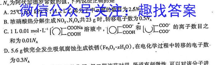 江西省2023年初中学业水平考试（四）化学