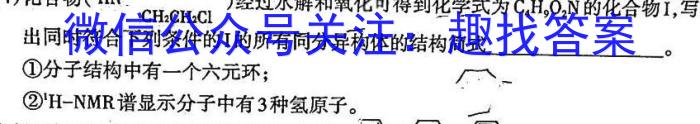 2023普通高校招生全国统一考试·全真冲刺卷(二)化学