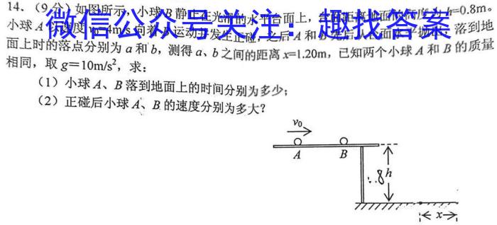 寿春中学2023届毕业班第一次模拟考试f物理