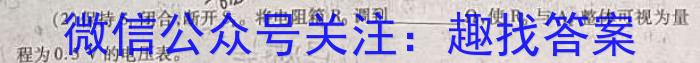 2023届金学导航·模拟卷(十)·D区专用.物理