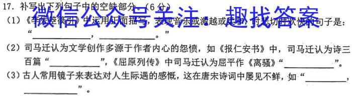 华普教育 2023全国名校高考模拟冲刺卷(四)语文