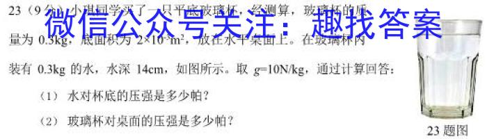 安徽省中考必刷卷·2023年名校内部卷（五）.物理