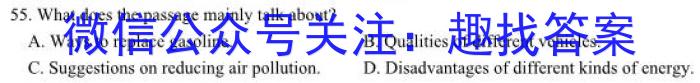 安徽省2024届八年级下学期教学质量监测（六）英语