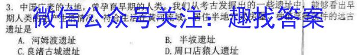 2023年湖南省高三年级高考冲刺试卷（三）历史