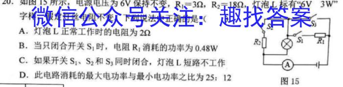 安徽省2023年含山县九年级教学质量检测试卷物理.