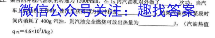 佩佩教育·2023年普通高校统一招生考试 湖南四大名校名师团队模拟冲刺卷(4)物理.