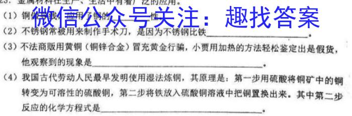 凤庆县2024-2023九年级学业水平测试卷(一)(23-CZ154c)化学