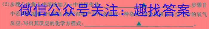 西南大学附中2022-2023学年度高一下期期中化学